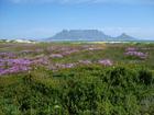 Apartment For Sale in Blouberg Beachfront, Cape Town