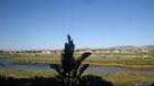 Apartment For Sale in Blouberg Beachfront, Cape Town